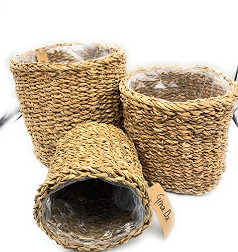 Gina Da 3er Set Übertopf aus Seegras Blumentopf Pflanzenkübel draussen oder drinnen Cover