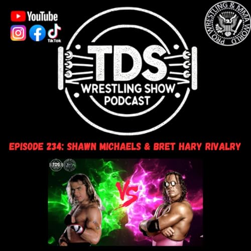 Page de couverture de Episode 234: Shawn Michaels vs Bret Hart Rivalry