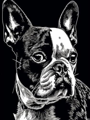 Kit peinture diamant 5D Boston Terrier à offrir | Cadeau DIY déco perles acryliques 30x40 cm