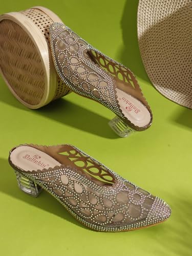 Image of Women Fancy Sandal for Women with Transparent Heel I Fashion Mules HN-900