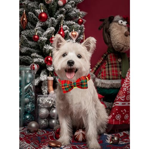 Lionheart glory Weihnachten kariert Hundehalsband, Hundeschleife Halsband Adjustable Comfortable Bowtie Halsbänder für kleine Hunde Mädchen oder Jungen Fall Kragen Hund Schleife