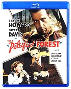 Petrified Forest, The (BD)