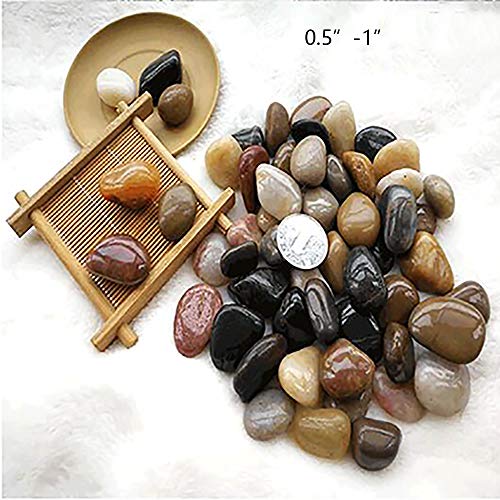 Castuvy 1 LB 0.5"-1" Natural Cobblestone,Aquarium Fish Tank,Flower Pot Decoration Gravel