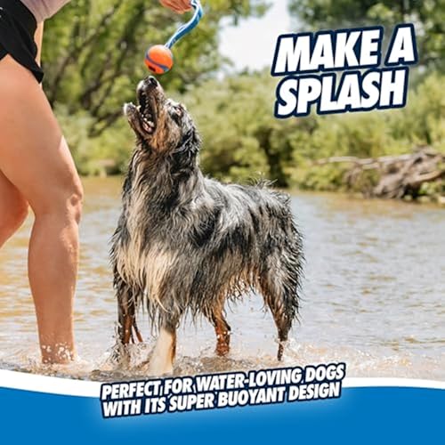 Image of Chuckit! Ultra Tug Dog Toy - Ultra Ball on a Durable Nylon Cord Handle - Fetch and Tug-of-War Toy for Dogs - for Breeds 60-100 lbs - 3-inch Diameter - Orange and Blue Large (Pack of 12)