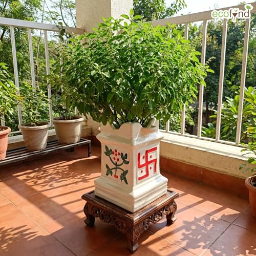 Image of ecofynd 12 inches Tulsi Ceramic Plant Pots, Flower Pot with Drainage Hole, Decorative Modern Indoor Planters, Home Garden Decor for Living Room Bedroom Interior (Ivory,CPOT040)