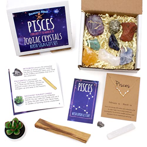 DANCING BEAR Pisces Zodiac Healing Crystals Gift Set (14 Pc): 9 Stones, 18K Gold-Plated Constellation Necklace, Meteorite, Succulent Candle, Palo Santo Smudge Stick, and Info Guide, Made in The USA