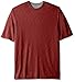 Van Heusen Men's Big and Tall Big and Tall Two Tone Short Sleeve Crew Neck Doubler Tee