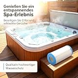 Hoypeyfiy Filtr jacuzzi, wkład filtrujący do filtra uzdatniania wody, zamiennik do Unicel C-6430, zamiennik do Magnum HS30, zamiennik do 73178, 73250