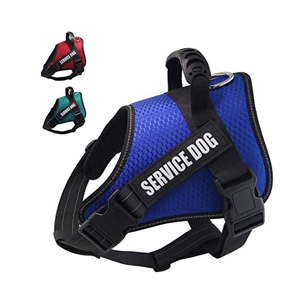 no pull service dog harness