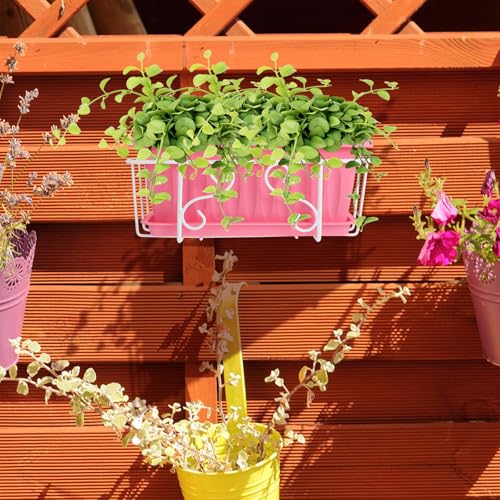 Jardinería vertical eficiente con el soporte para plantas colgante POPETPOP ligero en rosa 6