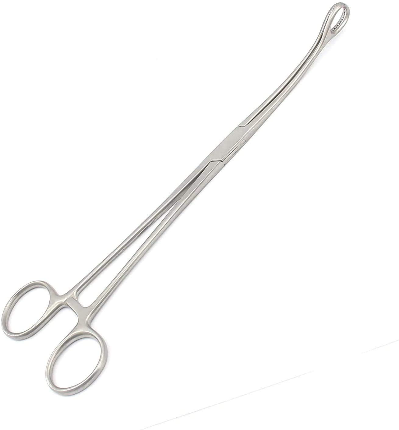 OdontoMed2011 Stainless Steel Sponge Holding Forceps 9.5