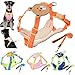 Cartoon Dog Harness and Leash Set No-Pull Ultra-Lightweight Puppy Vest Harness Outdoor Adjustable Breathable for Girl Boy Pet Cat Kitten Beige Orange Bear Large