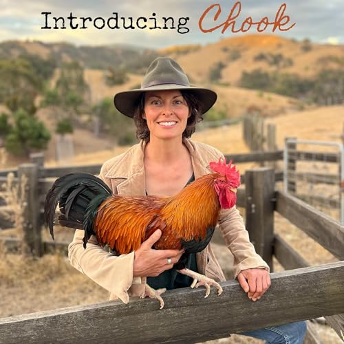 Introducing Chook