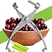 Cherry Pitter Olive and Cherry Pitting Tool