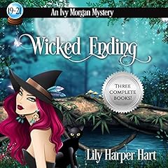 Couverture de Wicked Ending