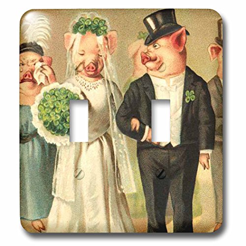Interrupteur à bascule double Pig électricité décoration maison murale multicolore