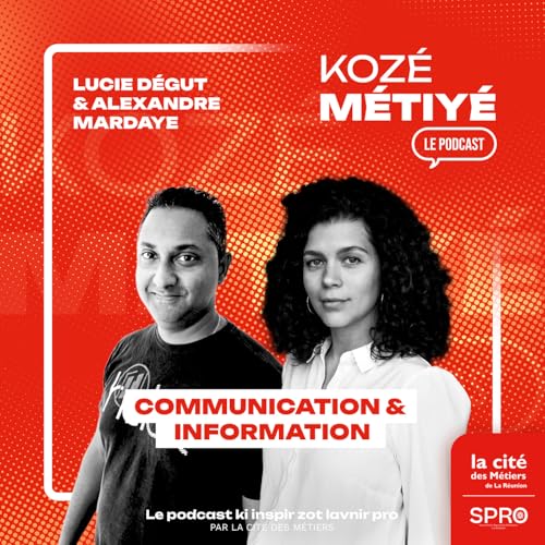 Graphistes &agrave; La R&eacute;union et &agrave; New York : cr&eacute;ativit&eacute;, parcours et r&eacute;alit&eacute;s du m&eacute;tier