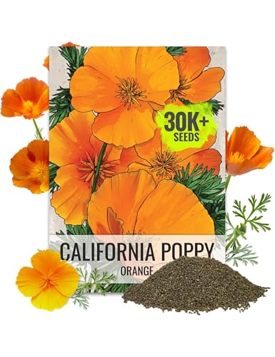 Seed Needs California Poppy Seeds to Plant Orange 2 Ounce Bulk Pack