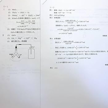 【大西正浩】化学T プリント　2023年度 河合塾の大西先生による23年度最新版化学T基礎の化学プリント集