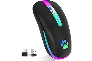 Fuwang: The Fun Mouse for Your Digital Adventures