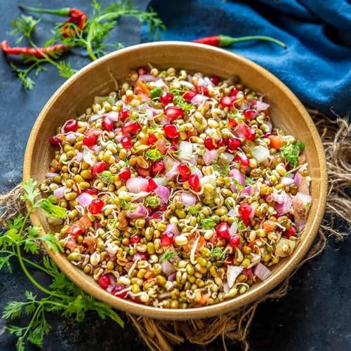 Image of UCRAVO 4 Layer Sprout Maker Container 500ml Sprouting Tray Seed Germination Kit Multi Tier Sprouted Grains Maker Plastic Sprouts Growing Container for Moong Chana Methi Beans Healthy Home Kitchen Use