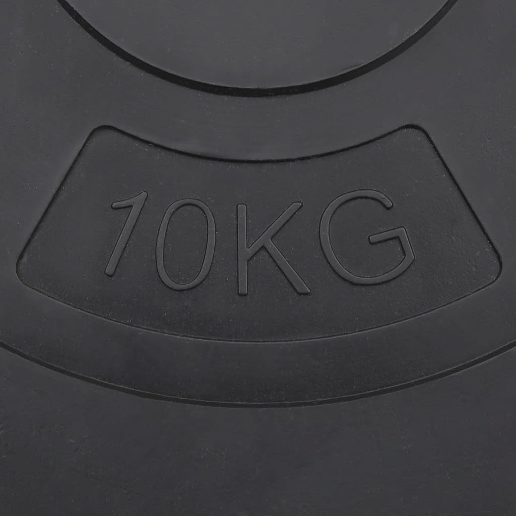 vidaXL Placas de Peso 4 unids Entrenamiento de Halterofilia Deporte Multi-Modelo