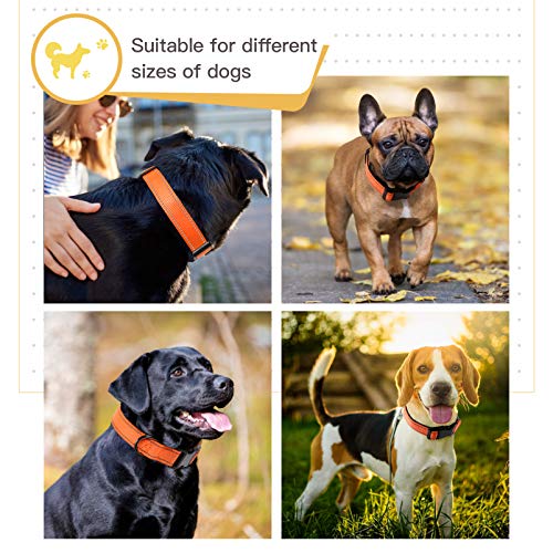 Image of HEELE Dog Collar, Reflective Dog Collar, Soft Neoprene Padded Breathable Nylon Pet Collar Adjustable for Small Dogs, Orange, S(10.23-14.96 inch)