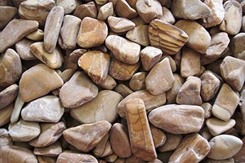 Seahorse Enterprises Feng Shui Decorative Pebbles - Woodstone - 1 Pack
