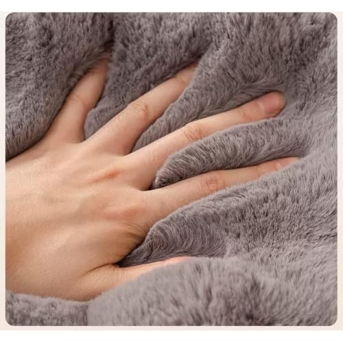 Housse de canapé en peluche antidérapante 110x180 cm pour salon