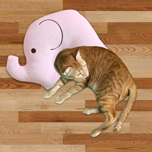 Almofadas de gato para gatos internos, almofada de pescoço de cachorro | Almofada para cachorro pequ