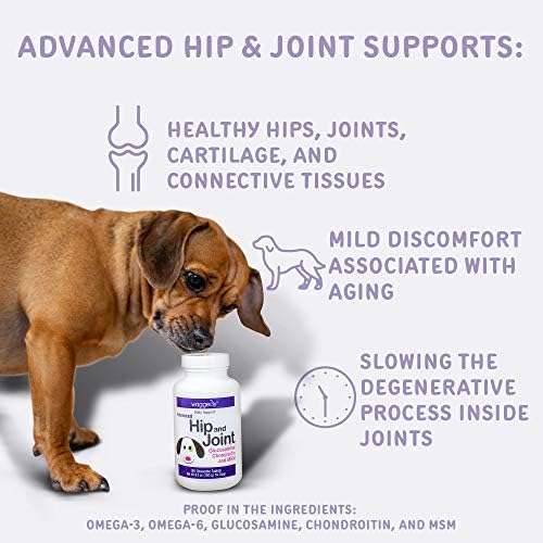 foster and smith glucosamine for dogs
