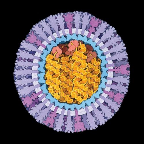 Preventing Future Pandemics