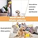PangWuu 2 Anti Stress Ente Für Hunde, Anti Stress Ente Hund, Quietschendes Hundespielzeug, 25 * 22cm Und 15 * 7cm Knochen Für Hunde Mit Hoher Energie