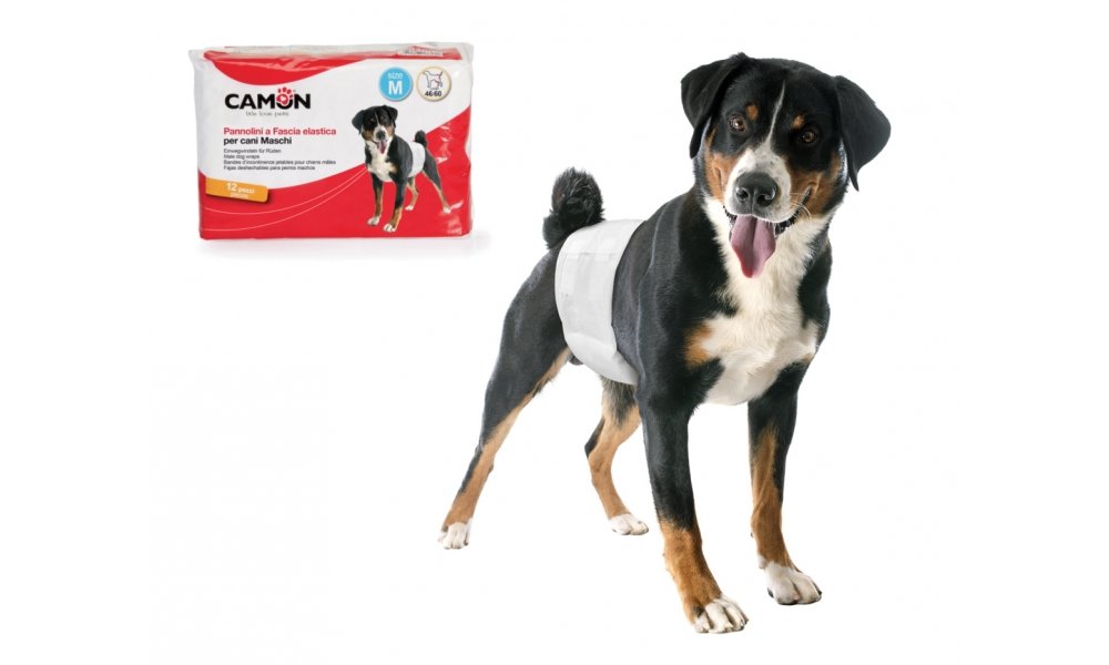 Camon Pañales Desechables de Banda elástica para Perros machos, Talla L, diámetro 60/80 cm, 12 Unidades