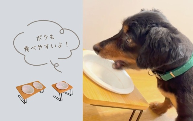 Amazon | 【傾斜と高さで身体にやさしい × 水が溢れないMax線】犬猫用