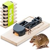 LUNA SafeSnap – Mausefalle sicher für Kinder & Haustiere (6er Set) – Schlagfalle mit Zug-Auslöser für präzisen Fang – giftfrei – Made in Austria