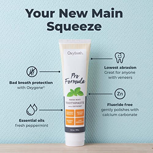 Oxyfresh 110 Pro Formula Fresh Mint Toothpaste thumb #1