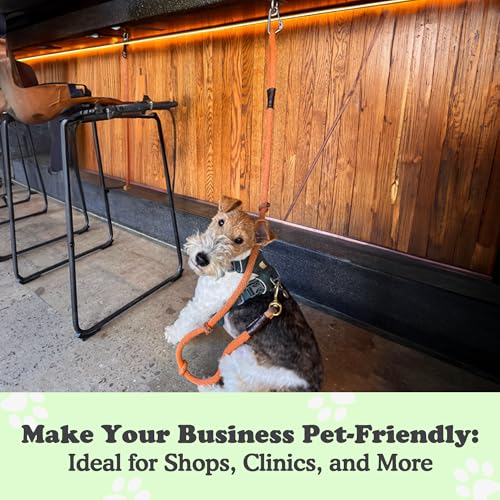 Canine Hitch- Secure Dog Leash Parking Indoor- Outdoor Wall Hook with Clip - Tie Out Stainless Steel - Practical Lead Management for Home & Business - Image 4