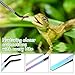 2PCS Stainless Steel Reptile Feeding Tongs with Rubber Tip, 10.6