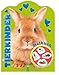Glitzersticker-Malbuch Tierkinder (Hase): Malbuch mit vielen Glitzerstickern