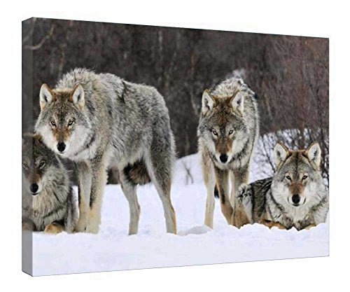 Impression sur toile loup haut de gamme encadrée bois d'art déco durable