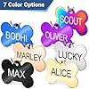 GoTags Stainless Steel Pet ID Tags, Personalized Dog Tags and Cat Tags, up to 8 Lines of Custom Text, Engraved on Both Sides, in Bone, Round, Heart, Bowtie and More (Bow Tie, Small (Pack of 1)) #4
