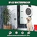 Yoiilifee Dog Door Bell for Potty Training, Smart Wireless Doggie Doorbell to Go Outside, 1000 Feet Long Range with IP65 Waterproof Touch Button, 20 Melodies & Adjustable Volume (2 Button)