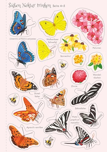 Mein Immer-wieder-Stickerbuch: Schmetterlinge: Stickerheft mit beschichteten Seiten zum einfachen Ablösen der über 140 Sticker – ab 3 Jahren (Meine Immer-wieder-Stickerbücher)