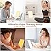 Light Lamp, Portable Full Spectrum LED Light Sunlight Personal Daylight with 3 Adjustable Color＆Stepless Brightness Levels, Timer＆Memory Function for Home Office Winter