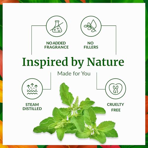 Image of SVA Holy Tulsi Essential Oil in Glass Bottle, 1 /3 Fl Oz (10 ml) | Holy Tulsi Essential Oil for Diffuser, Hair Care, Skin Care, Massage, Soap Making, Perfume Making, Fragrance & DIY Blending