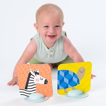 Amazon.com: Taf Toys High Contrast Baby Flash Cards & Baby Safe