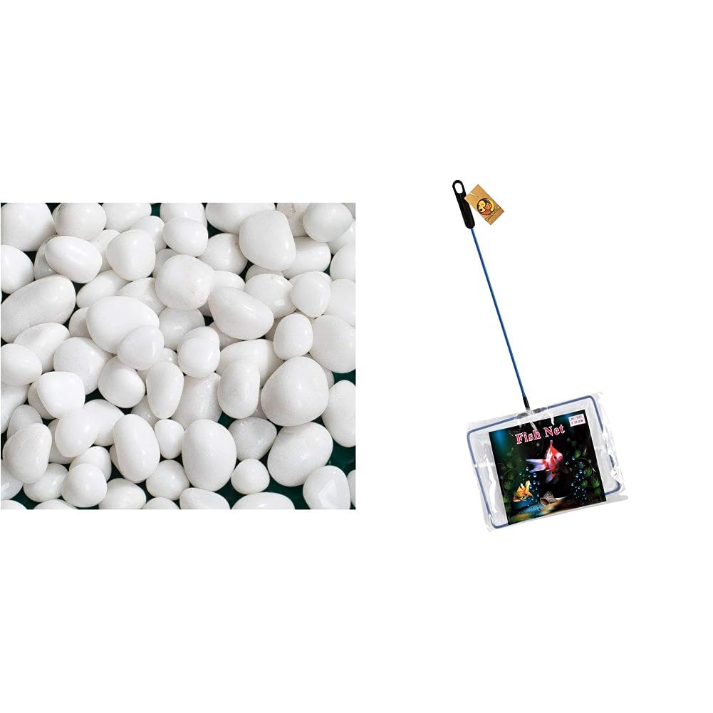 See full amazon price history chart for Foodie Puppies White Stones Large (2Kg) (2.5cm - 5cm) & Fish Net Cleaner for Aquarium/Fish Tank - (8inch Fish Net) Foodie Puppies White Stones Large (2Kg) (2.5cm - 5cm) & Fish Net Cleaner for Aquarium/Fish Tank - (8inch Fish Net) (B0CDDNXPB9) Amazon Price History, Amazon Price Tracker