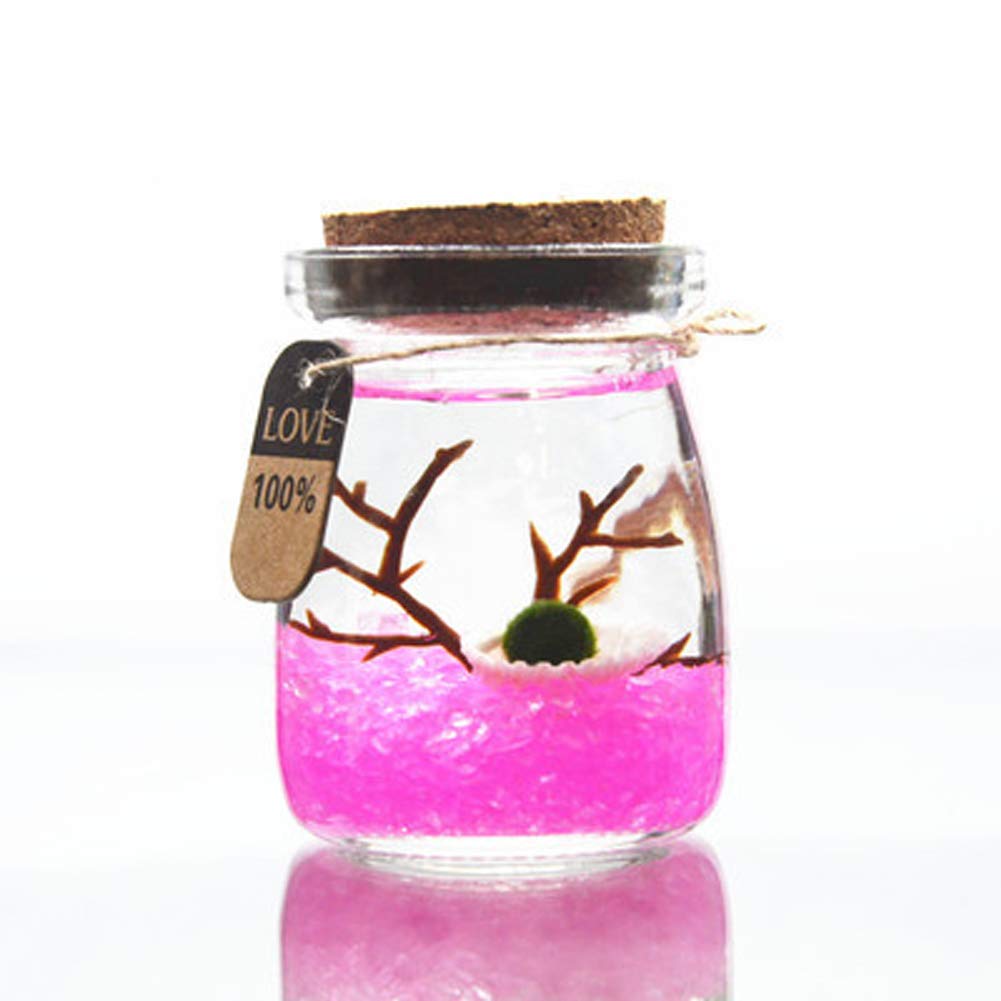 Aegagropila Linnaei Moss Balls Glass Multi Color Aquarium Kit Micro LandscapeHouseplant HomeOfficeGlass Decorative Bottle Birthday Gift (3)