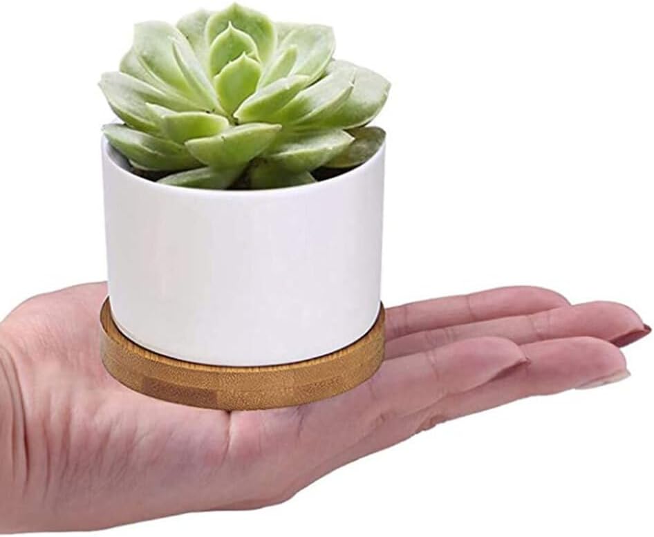 Ceramic Planter Pot,3X Durable Succulent Plant Pot Designed for Small Spaces Materials Ceramics Planter Pot Flower Pot Bonsai Pot Flowerpot